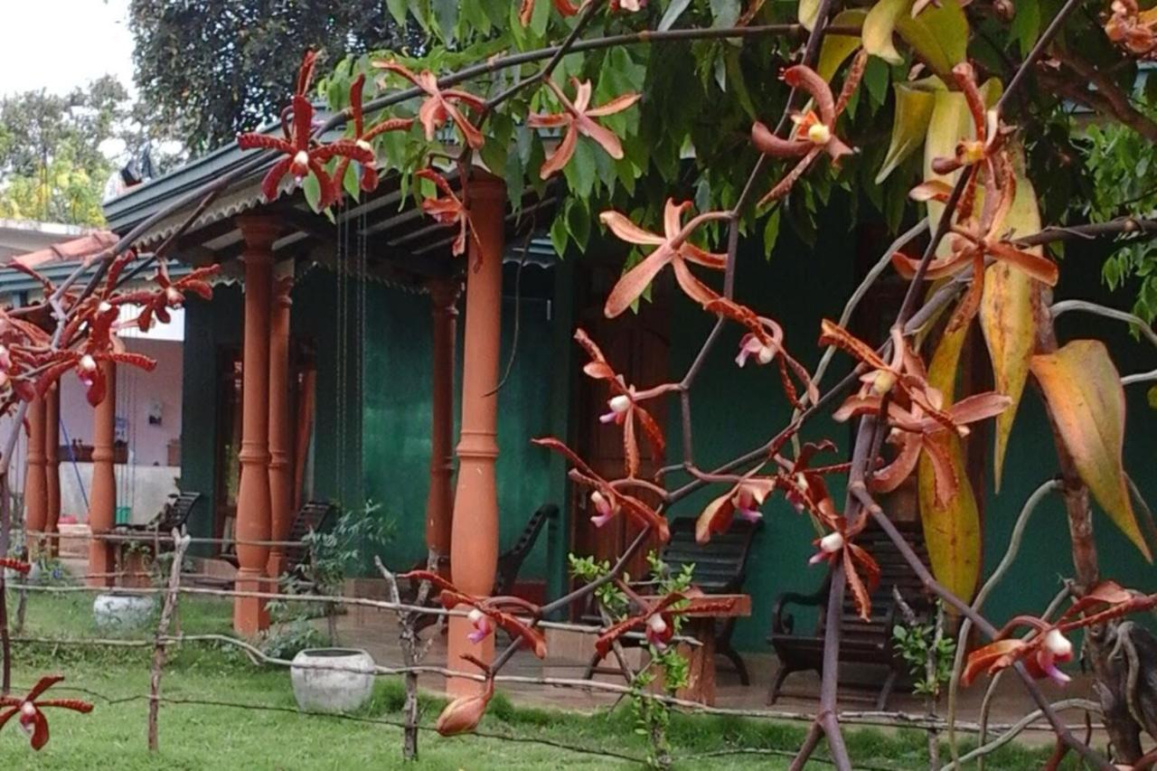 Sigiriya Melrose Villas Eksteriør billede